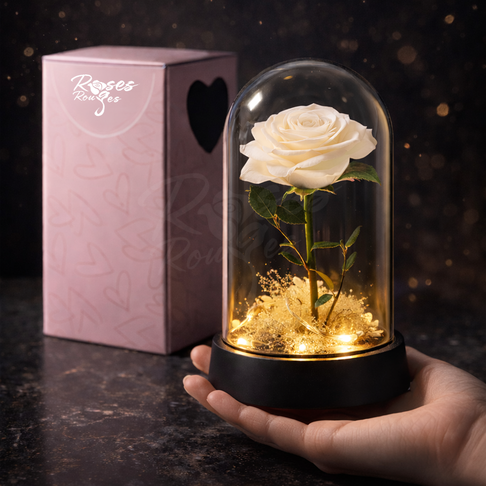 Rose éternelle en dôme de verre