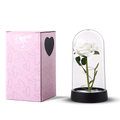 Rose éternelle en dôme de verre