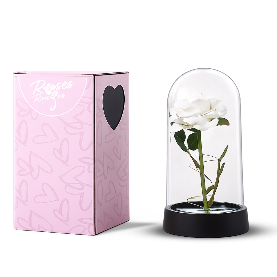 Rose éternelle en dôme de verre