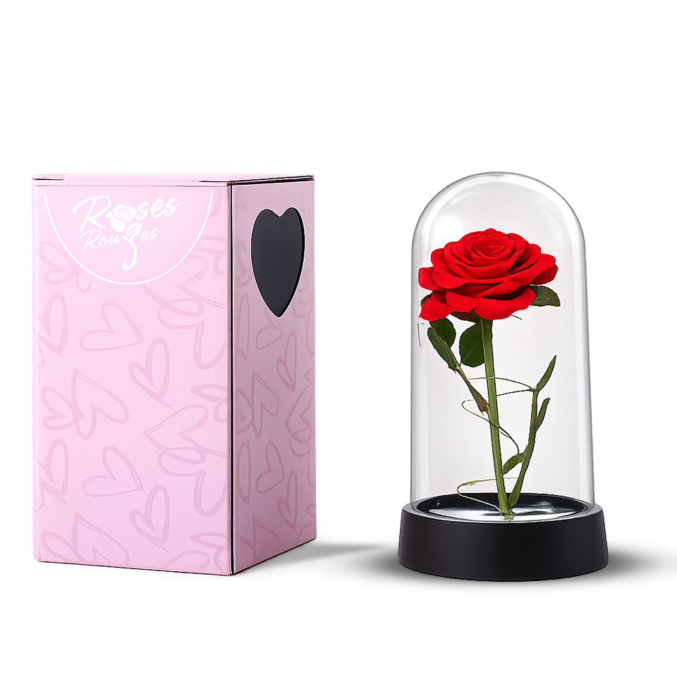 Rose éternelle en dôme de verre