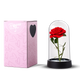 Rose éternelle en dôme de verre